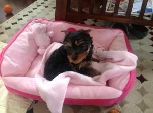 See?  It has begun...