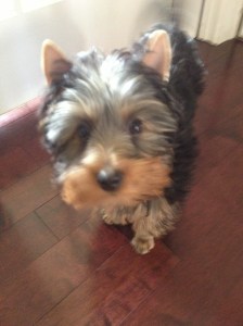 Really? Yeah, right.