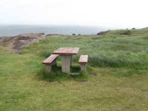 I thought it was very artistic of me to photograph a barren picnic table. Sadly, it just looks kinda creepy and like an empty picnic table.