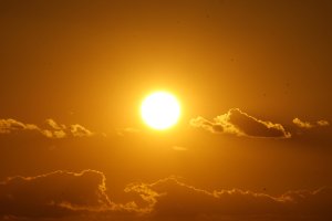 Look!  There it is!  Ahhh...warm....