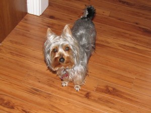 What?  I'm pretty.  That's all you need to know....