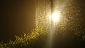 chain link night